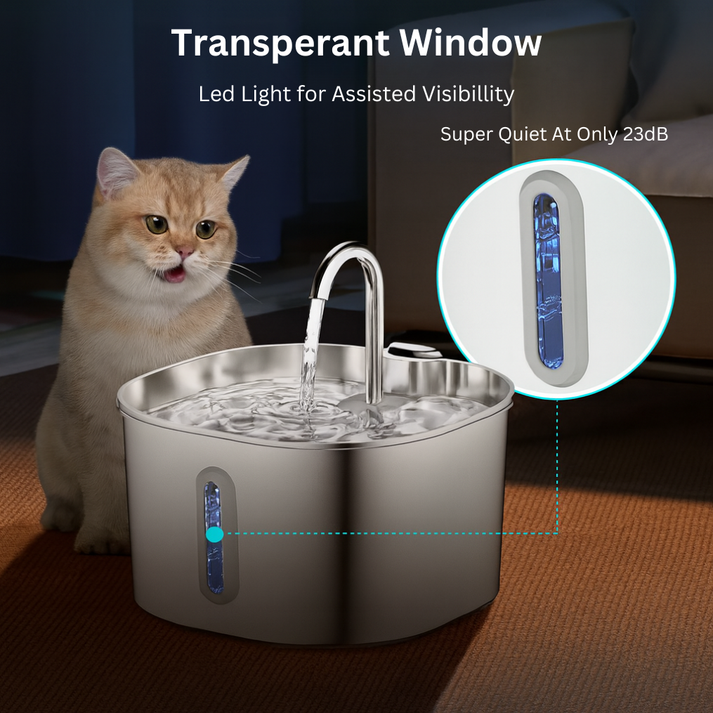 Ravixon Stainless Steel Water Fountain